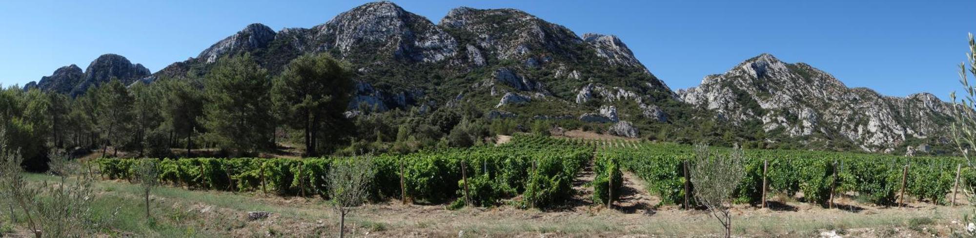 Les Lavandins-Gite Magali Saint-Remy-de-Provence Ngoại thất bức ảnh