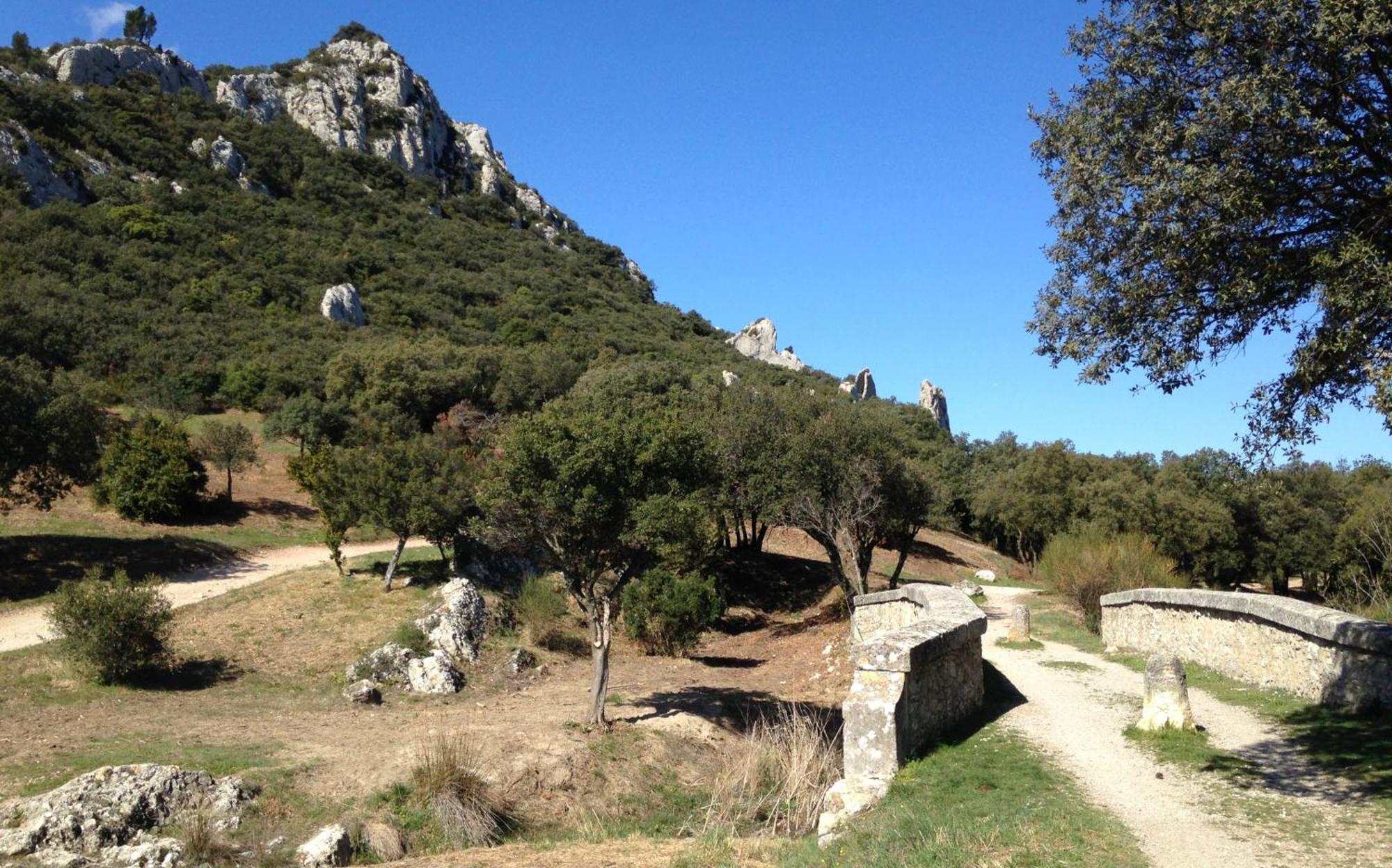 Les Lavandins-Gite Magali Saint-Remy-de-Provence Ngoại thất bức ảnh
