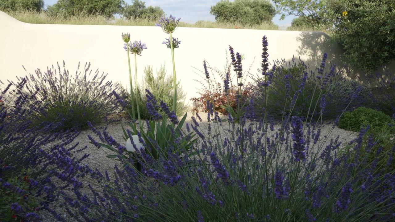 Les Lavandins-Gite Magali Saint-Remy-de-Provence Ngoại thất bức ảnh